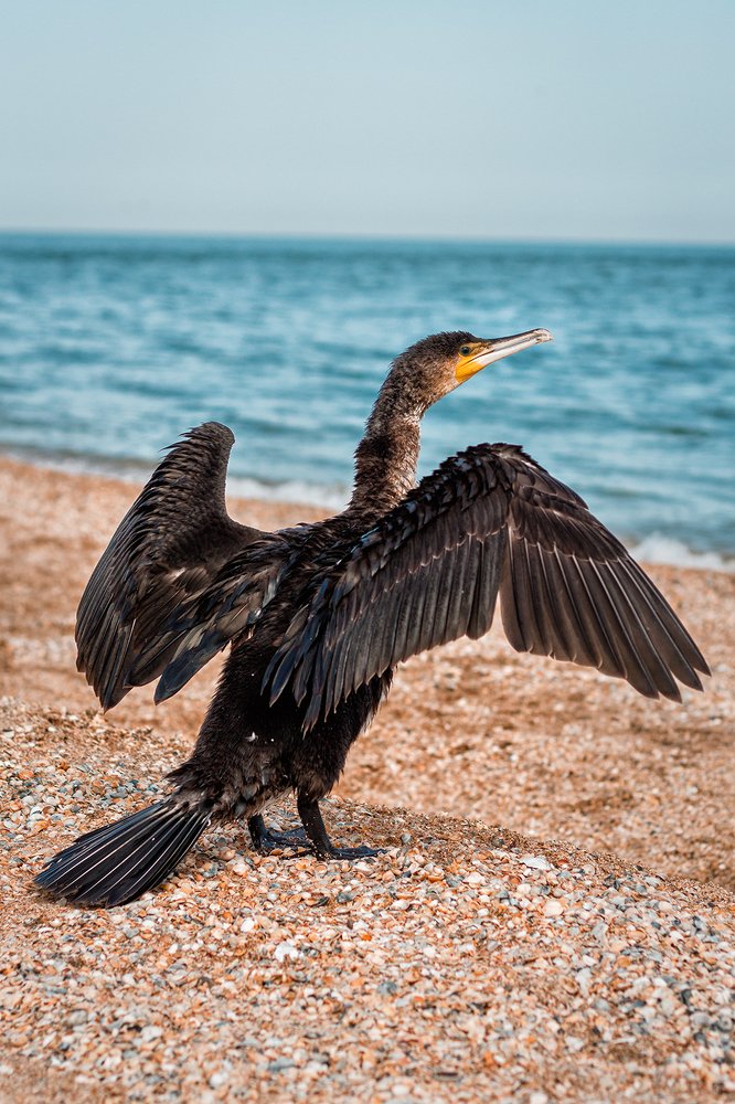 Photograph by Алена