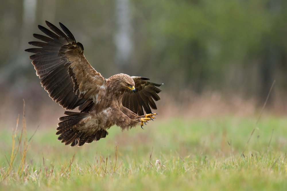 Photograph by Dariusz Dryl