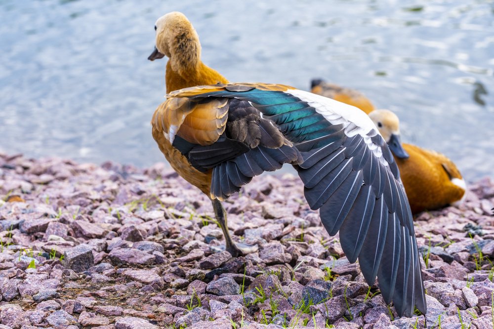 Photograph by Руслан Ибрагимов