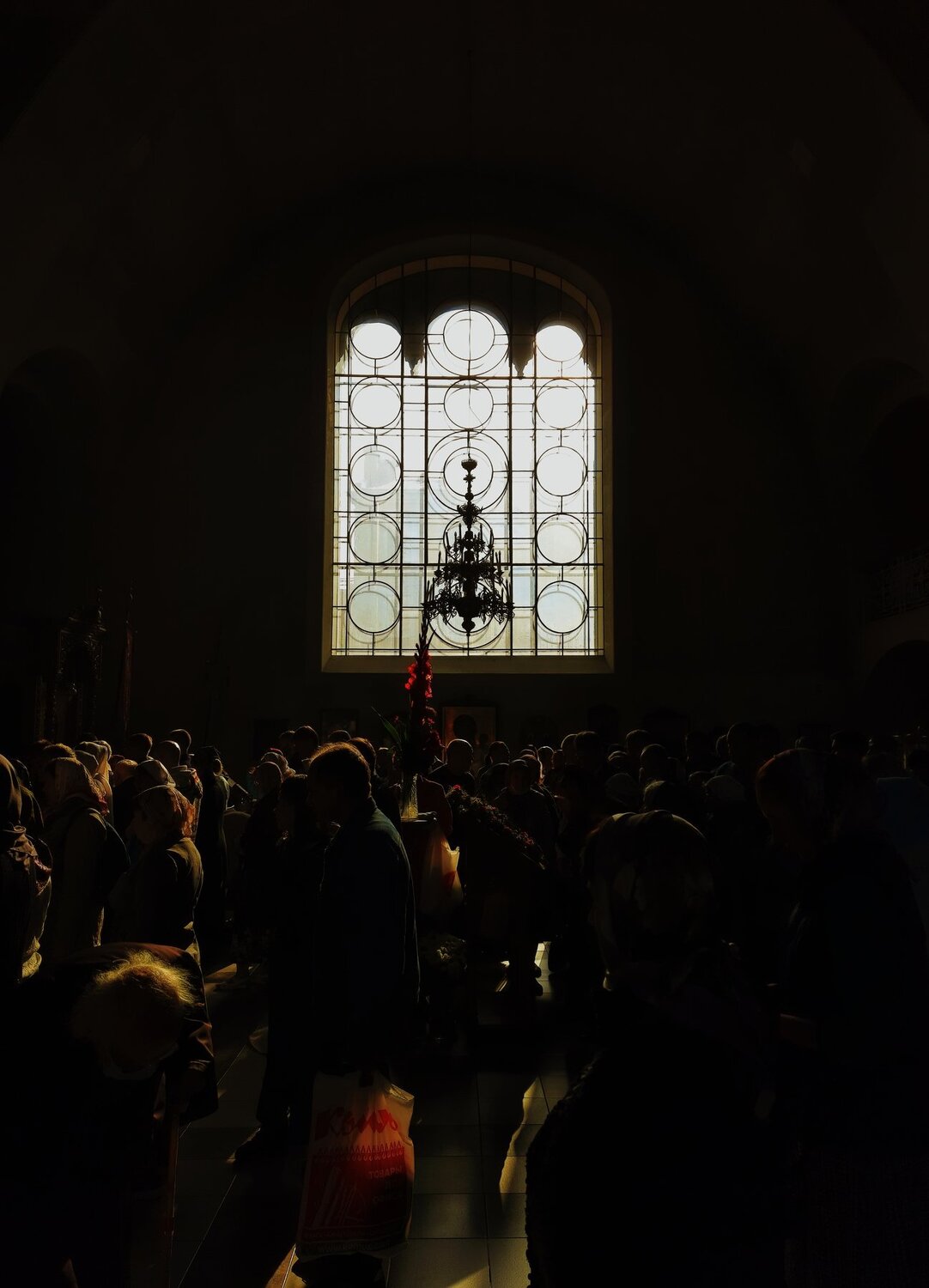Photo #4998124