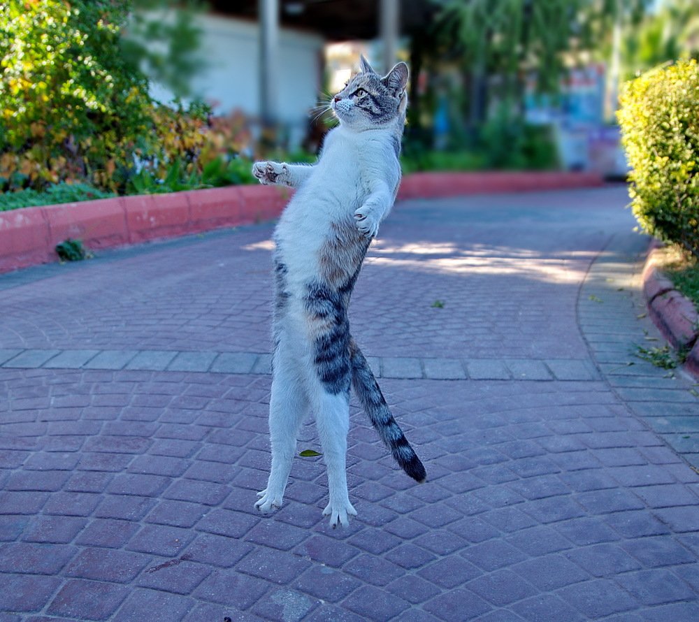 Photograph by Александр Столяров