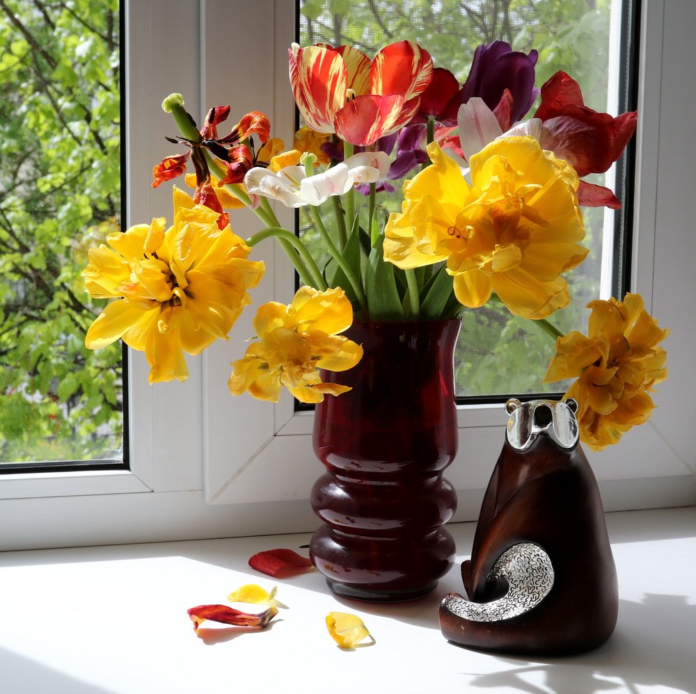 Фотография автора Елена Колосова