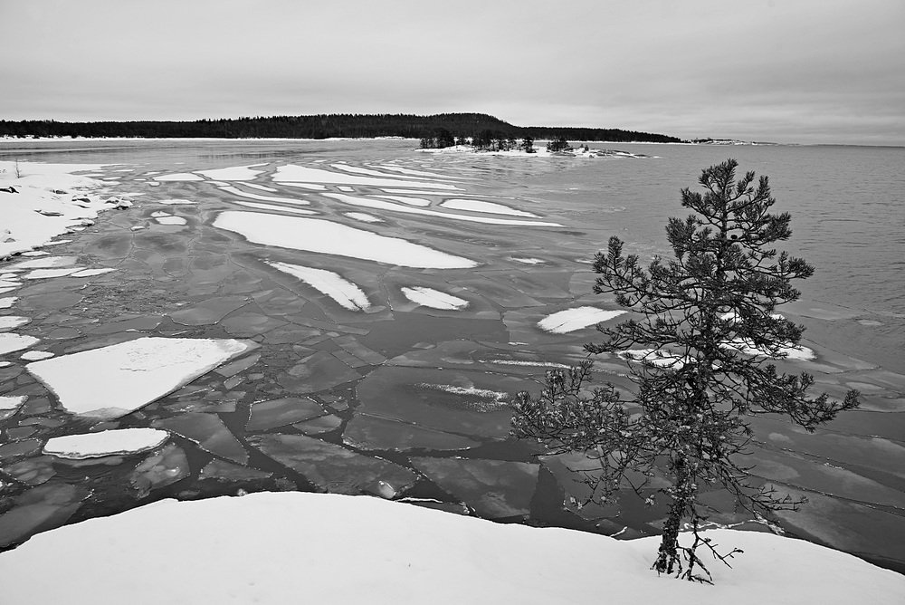 Photograph by Евгений Аккуратов
