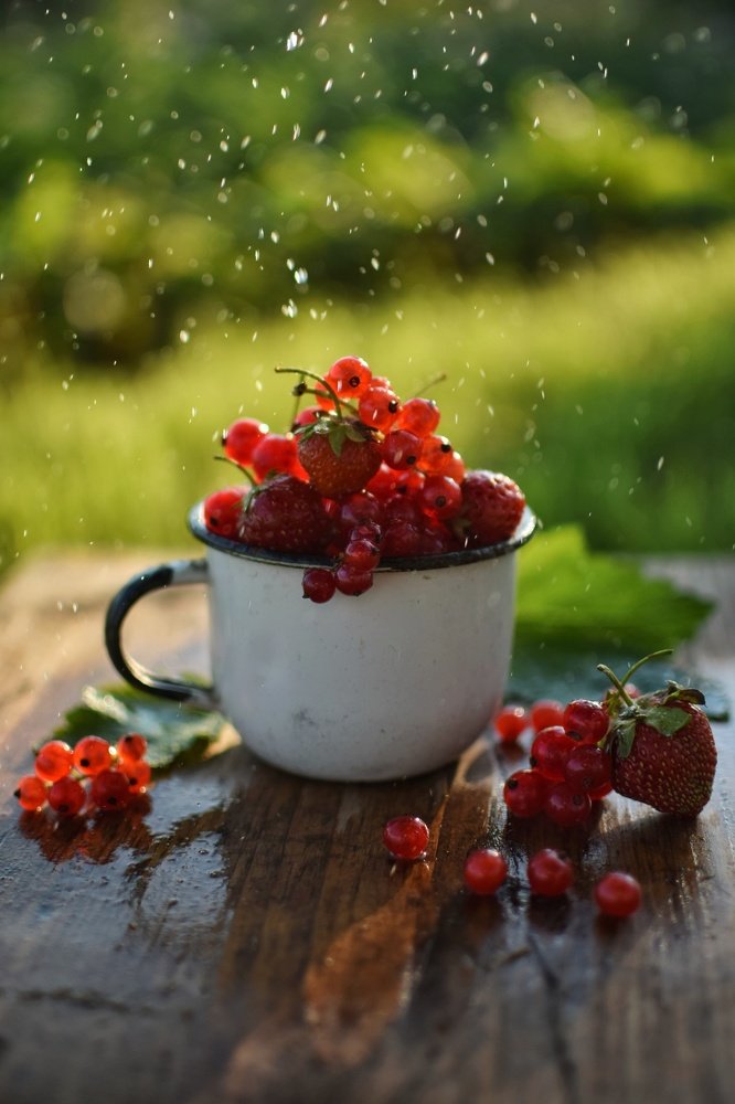 Photograph by Екатерина Долова