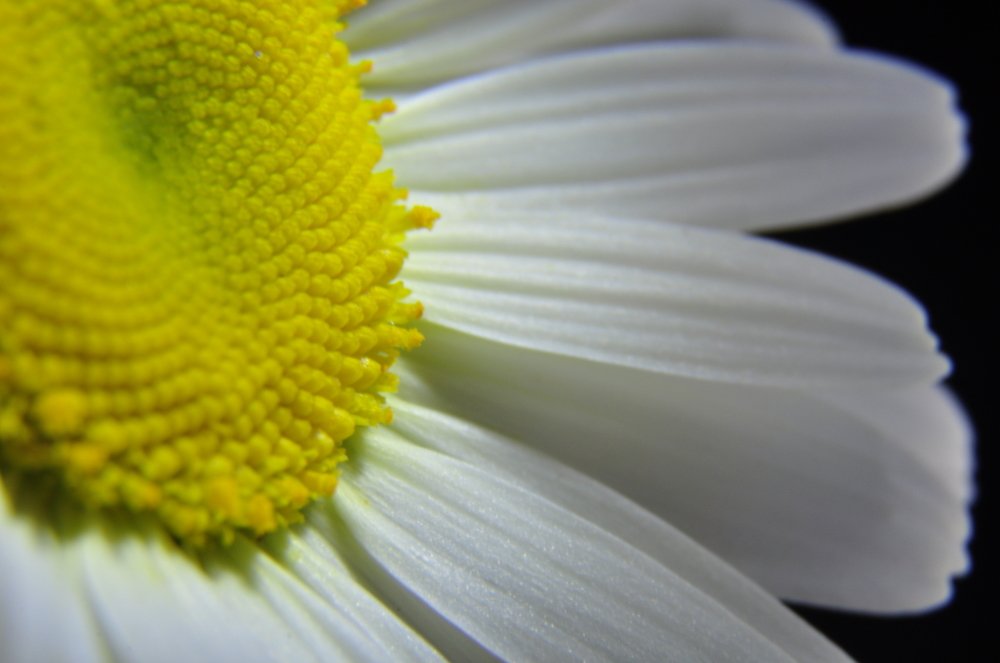 Photograph by Татьяна Маринич