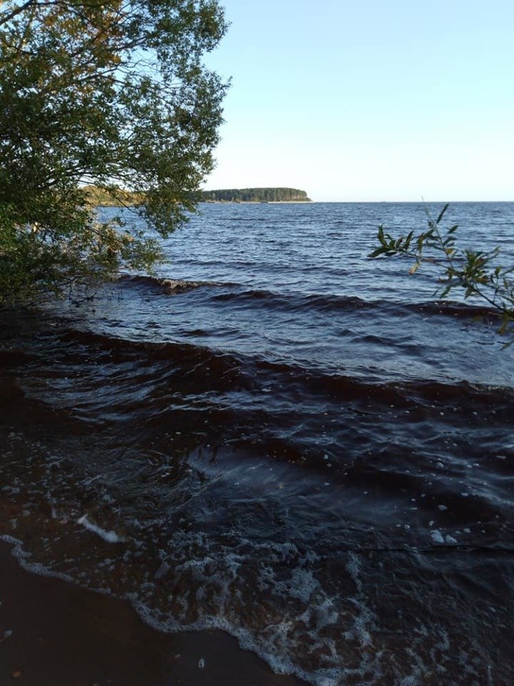 Photograph by Елена Малкова