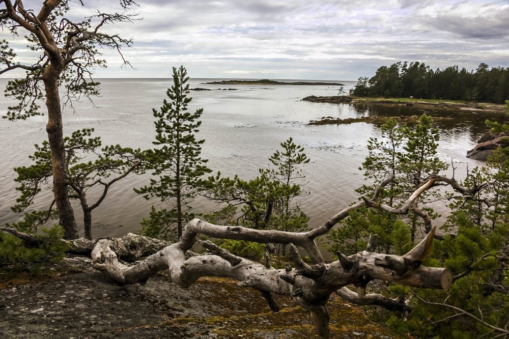 Утро севера