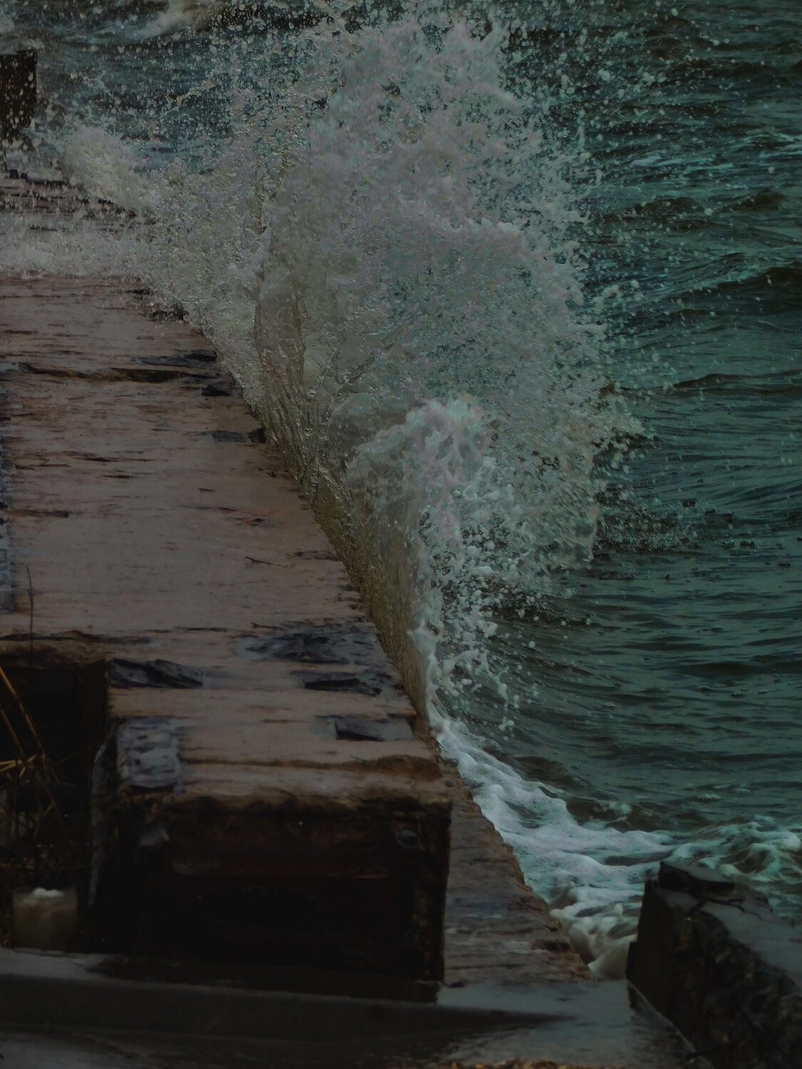 Photo #4998432