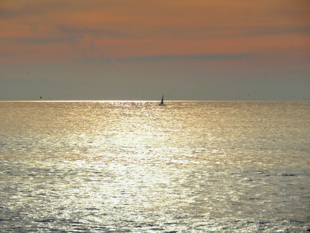 Sailboat under the golden hour