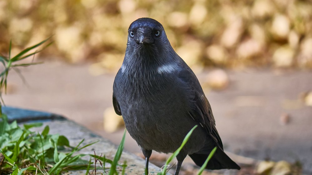 Photograph by Руслан Ибрагимов