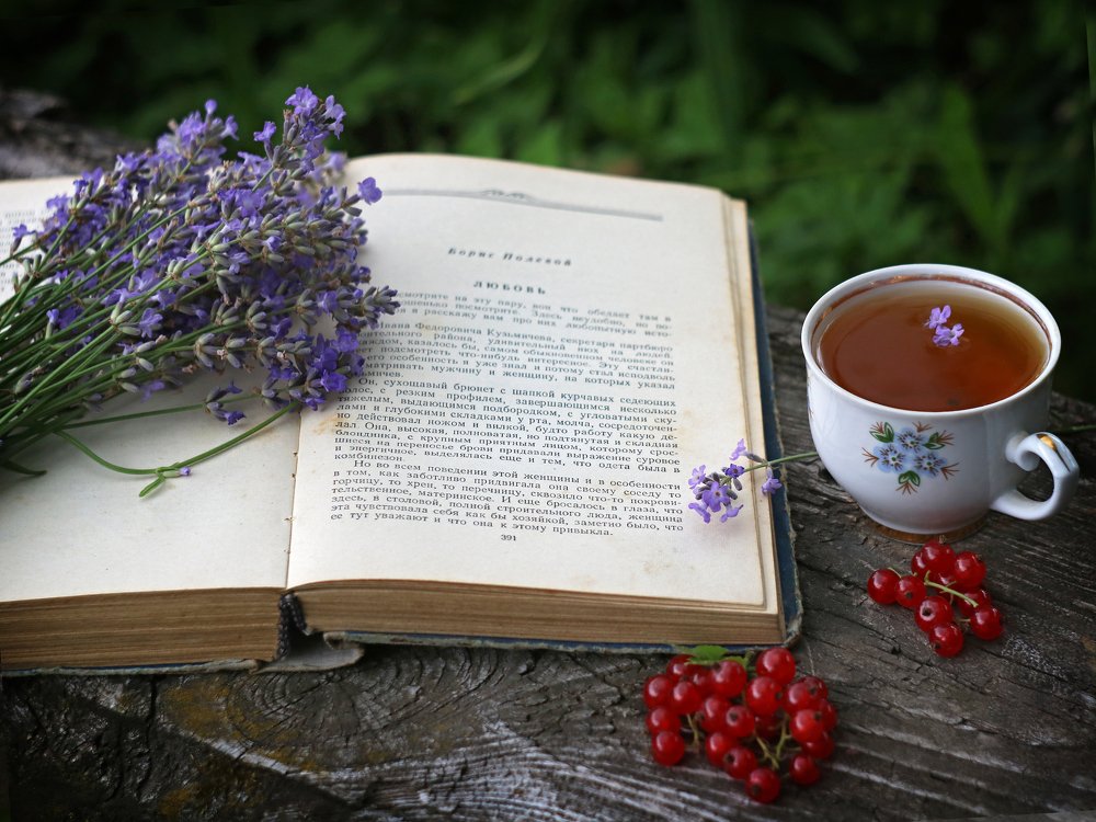 Photograph by Наталья Комарова