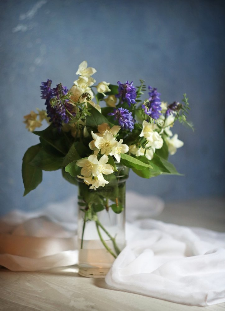 Photograph by Наталья Комарова