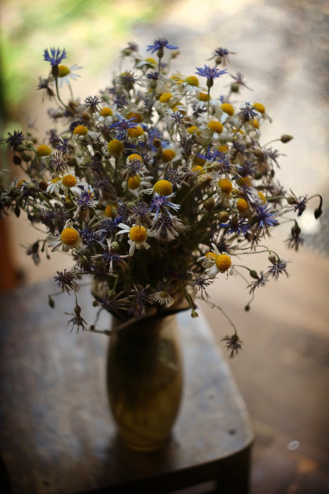 Photograph by Наталья Комарова