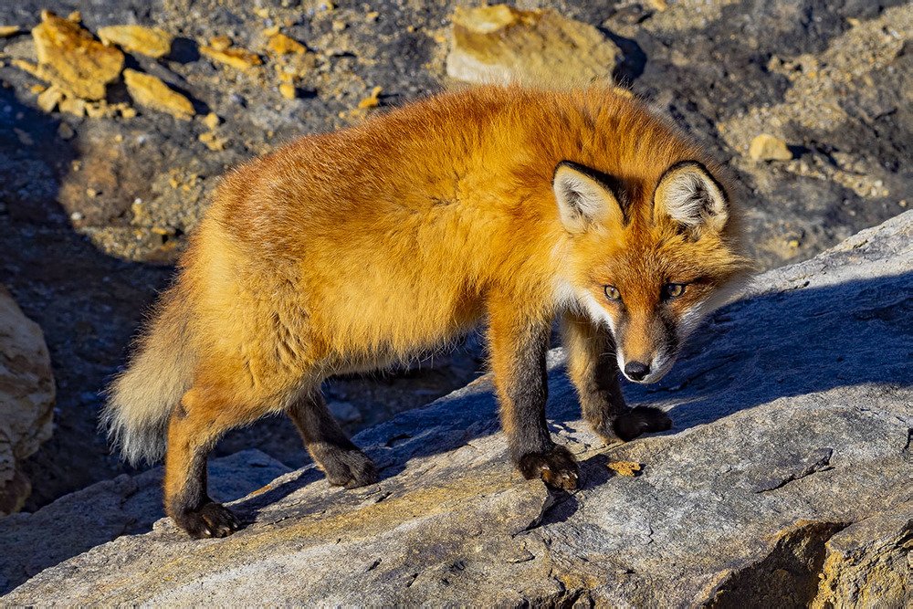 Photograph by Дмитрий Потапов