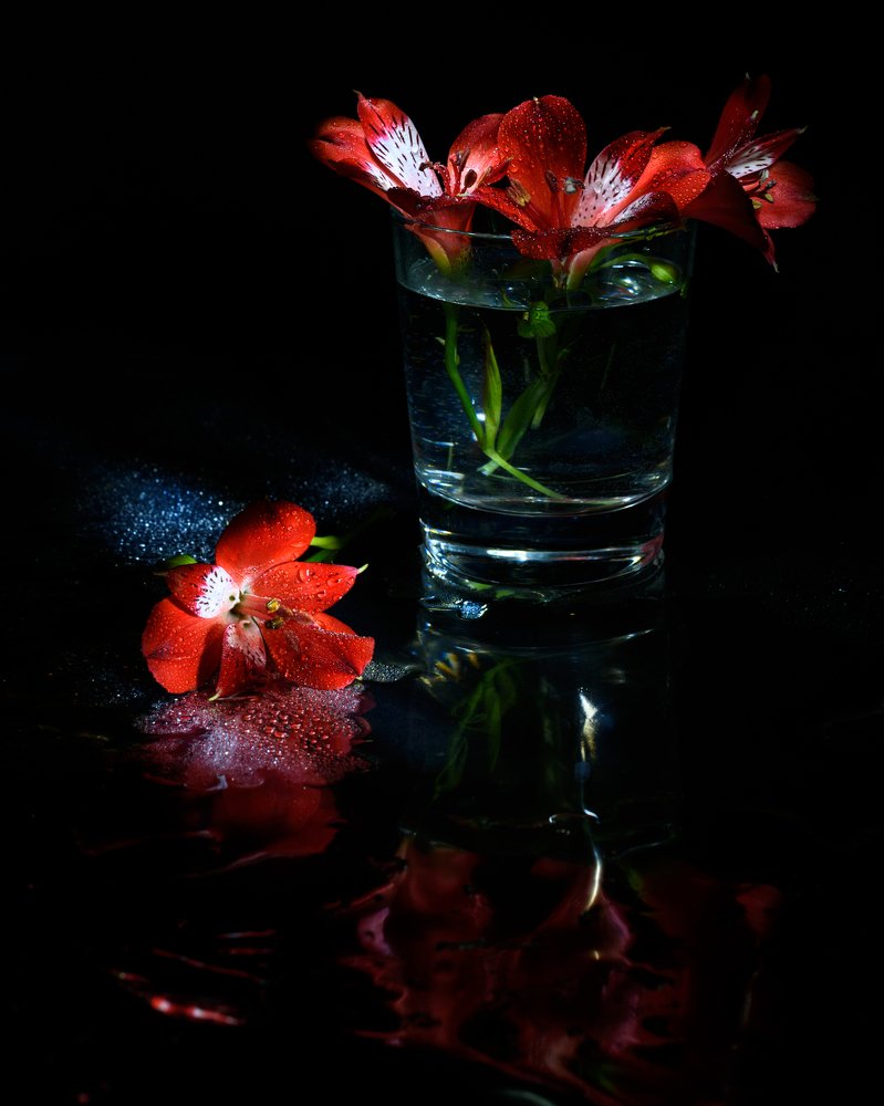 Photograph by Irina Lutsenko