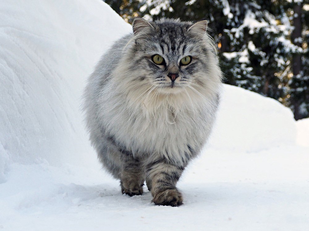 Photograph by Дмитрий Потапов