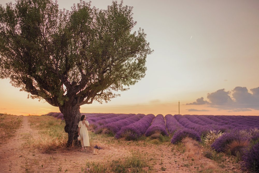 Photograph by Tabisheva Elvira