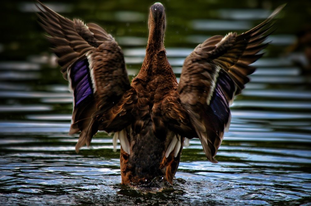 Photograph by Максим Ушенин