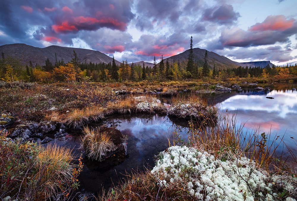 Разрумянившиеся от бега облака