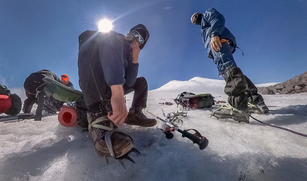 Время кошек...