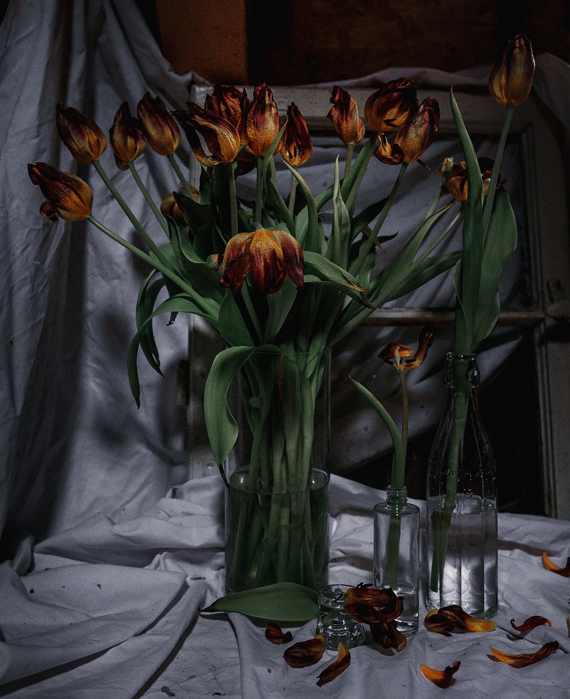 Photograph by Anastasia Strekalovski