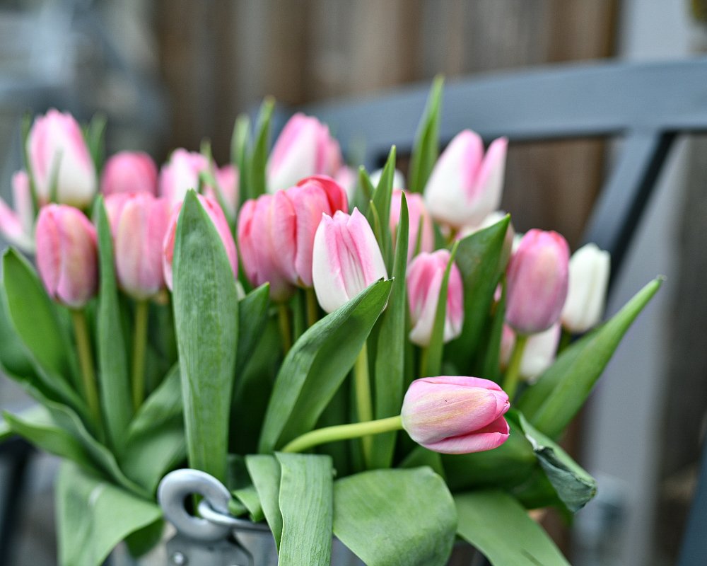 Фотография автора Anna NovaLova