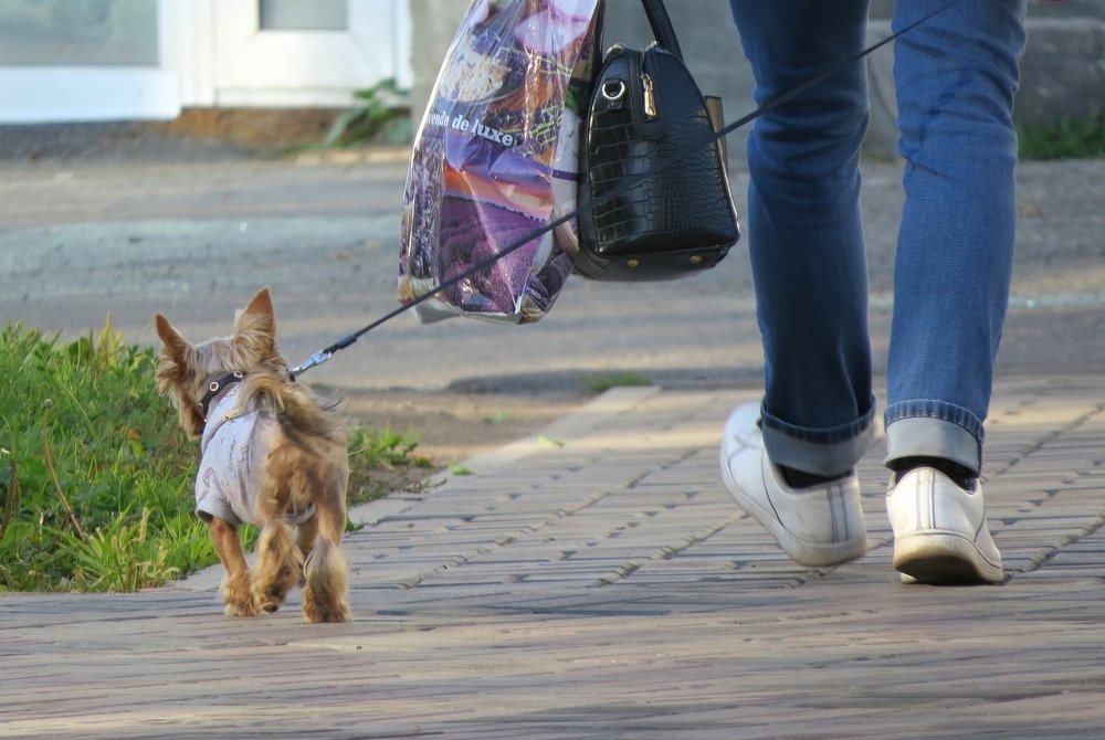 Photograph by Елена Лапина