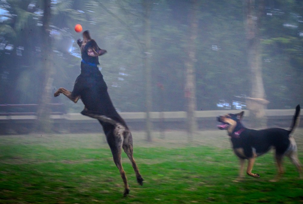 Фотография автора Maurice Leung