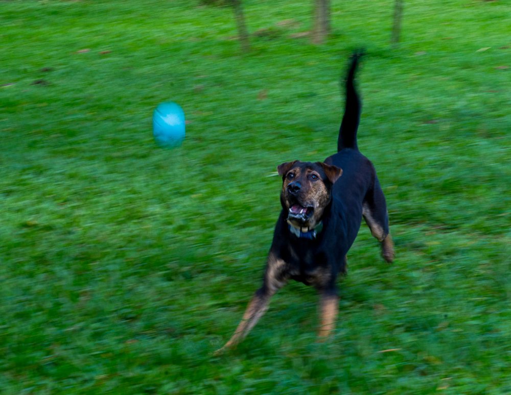 Фотография автора Maurice Leung