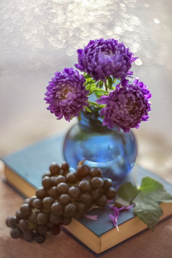 Фотография автора Зоя Галимова