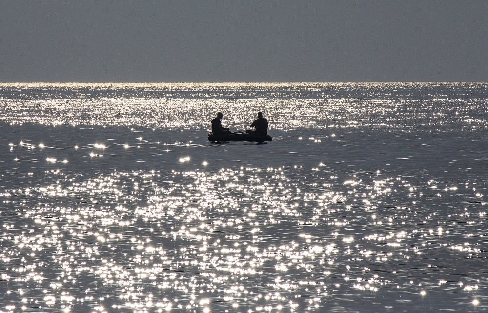 Фотография автора Sara Bahari