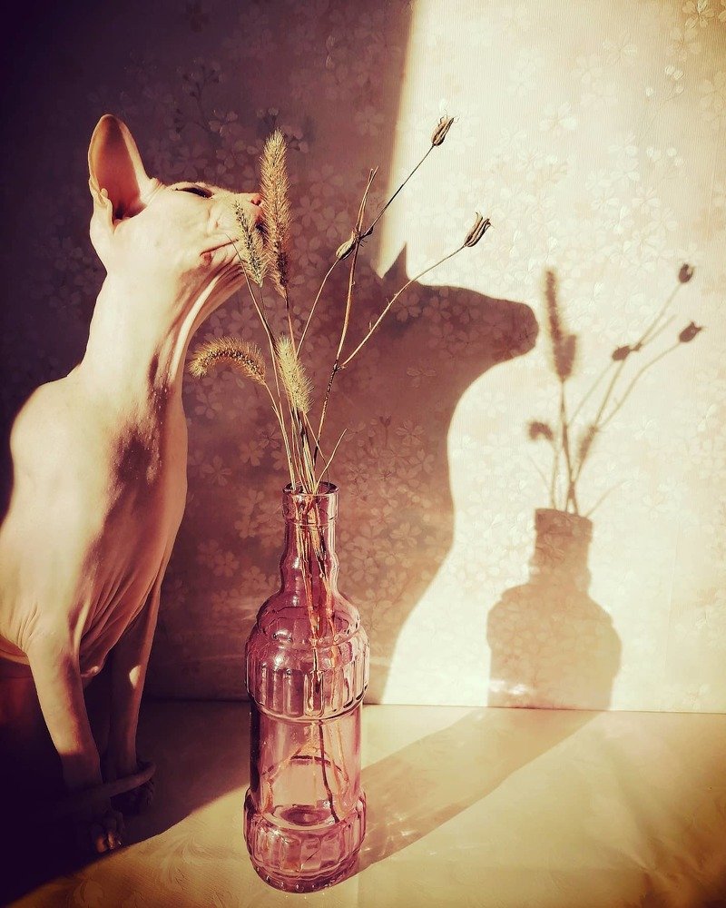 Photograph by Юлия Гагарина