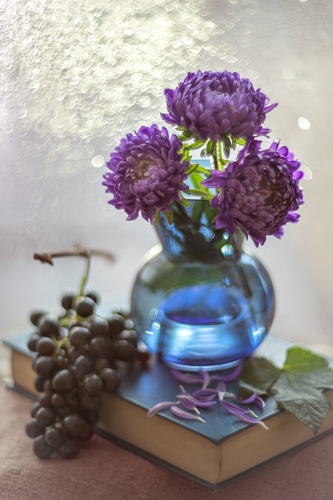 Фотография автора Зоя Галимова