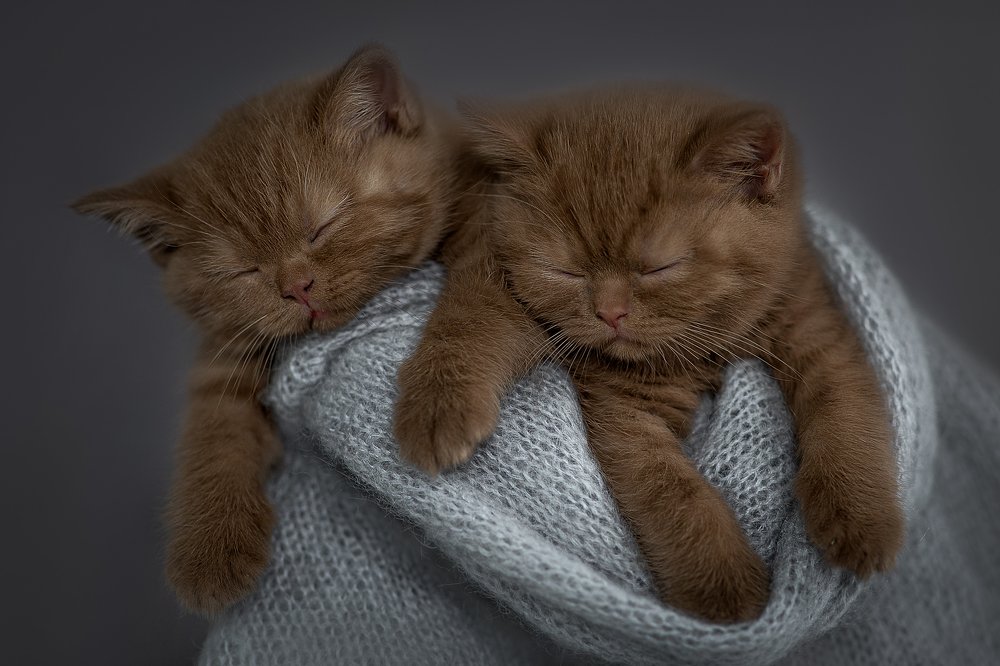 Фотография автора Зоя Галимова