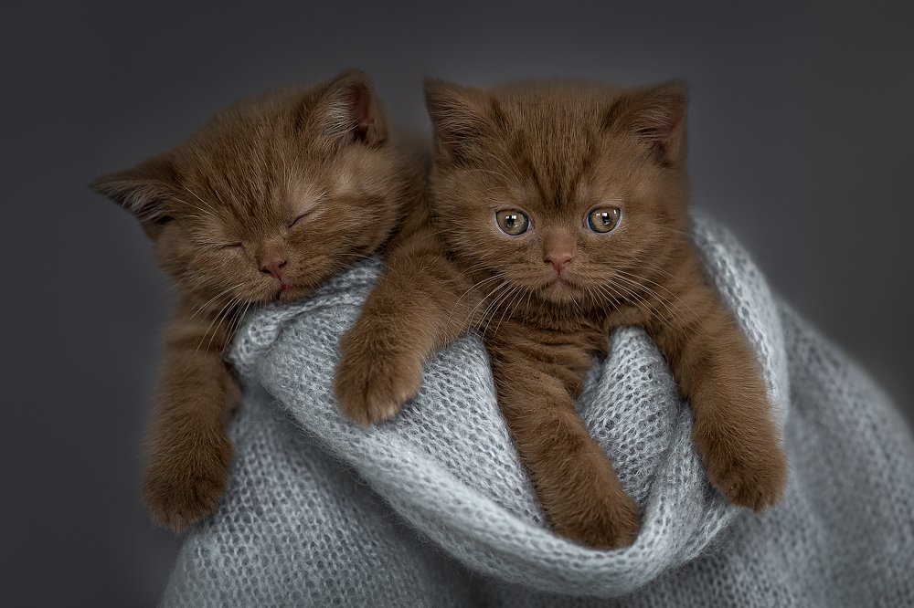 Photograph by Зоя Галимова