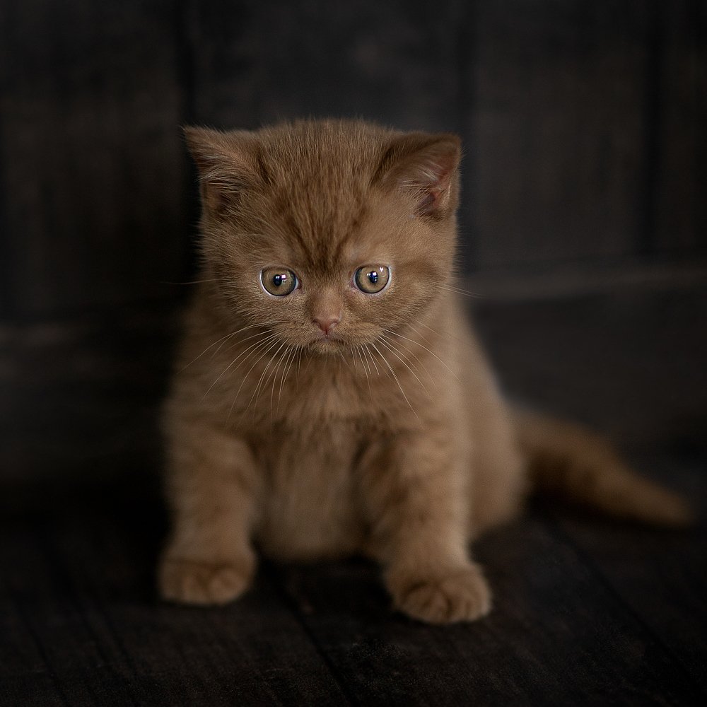 Фотография автора Зоя Галимова