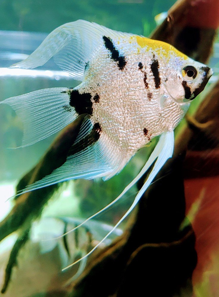 Photograph by Elena Chandran