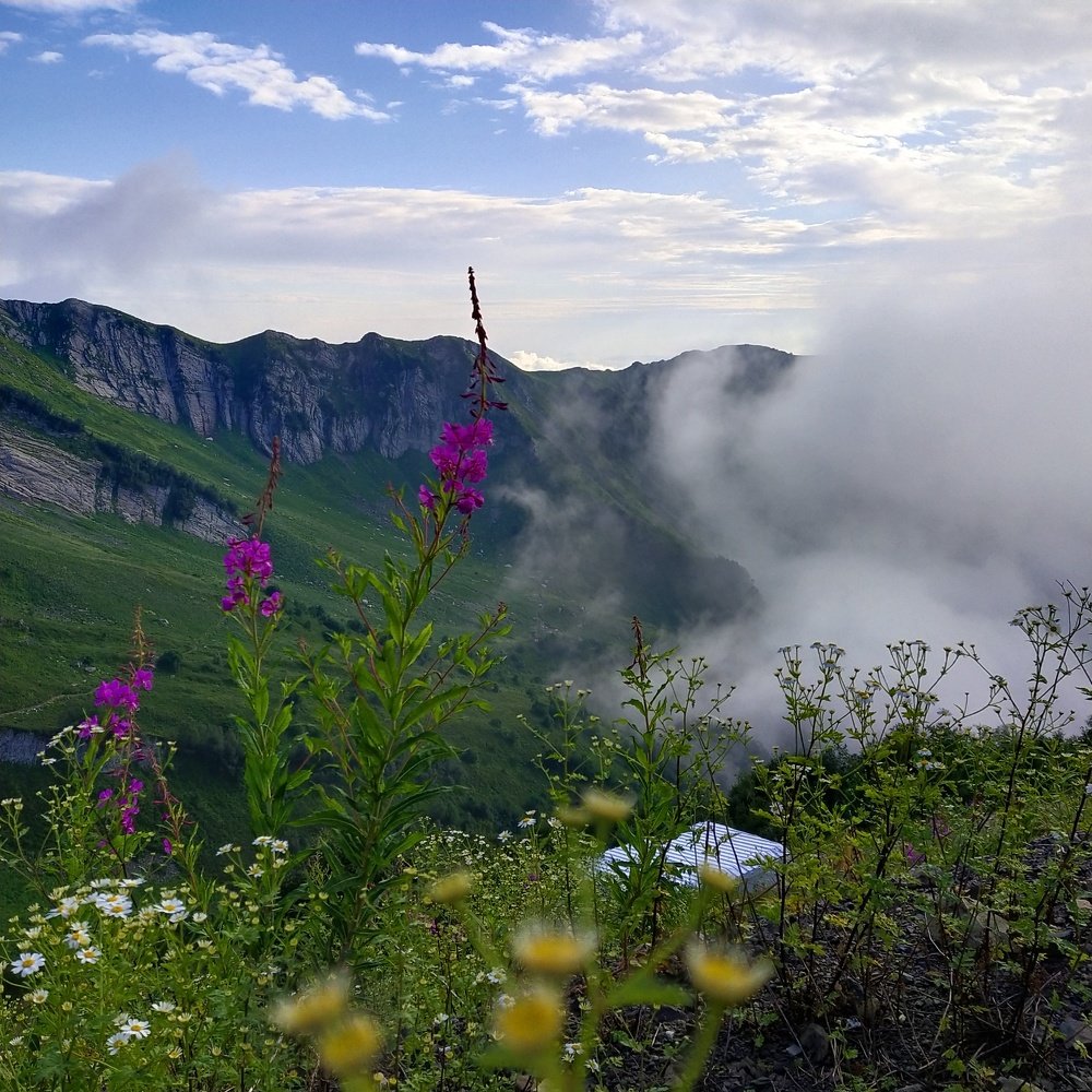 Photograph by Антонина Кузнецова