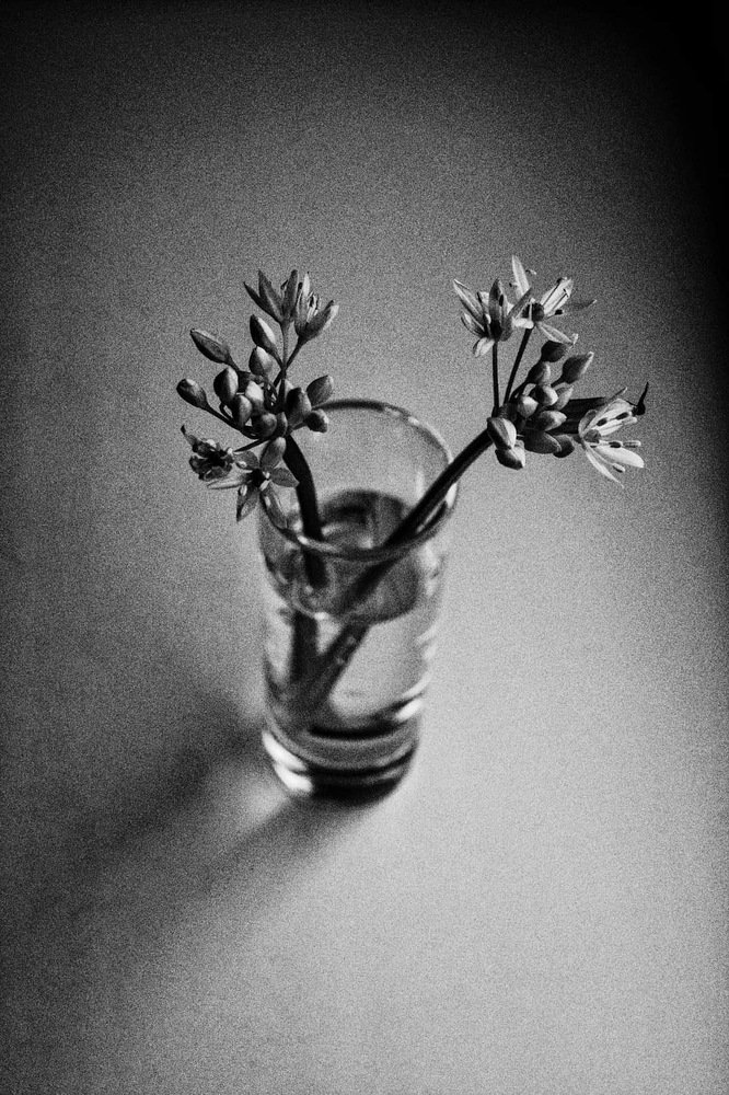 Оммаж Йозефу Судеку