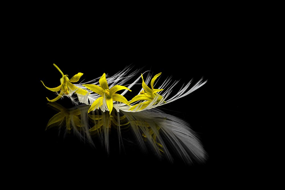 Photograph by Ольга Цветкова