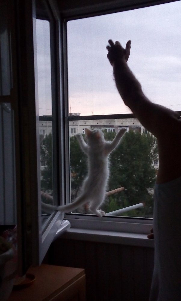 Photo #4999237