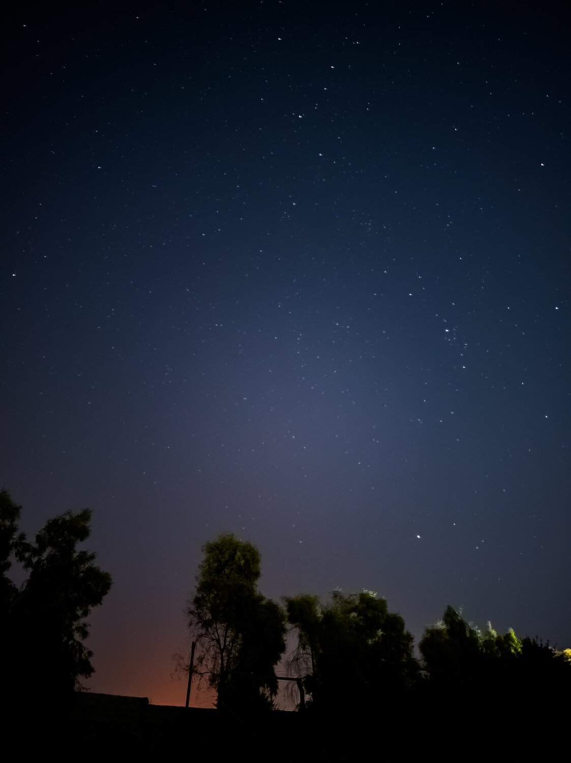 Photo #4999261