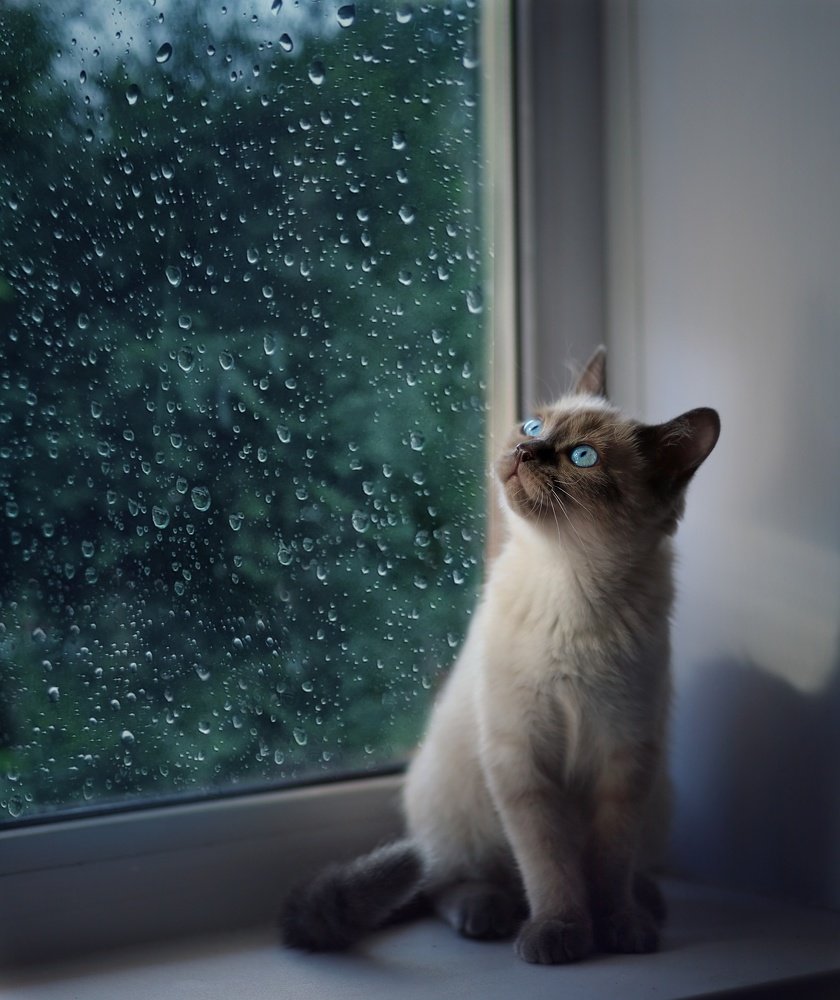 Photograph by Катерина Коханова