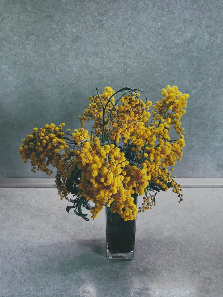 Photograph by Сергей Бойко