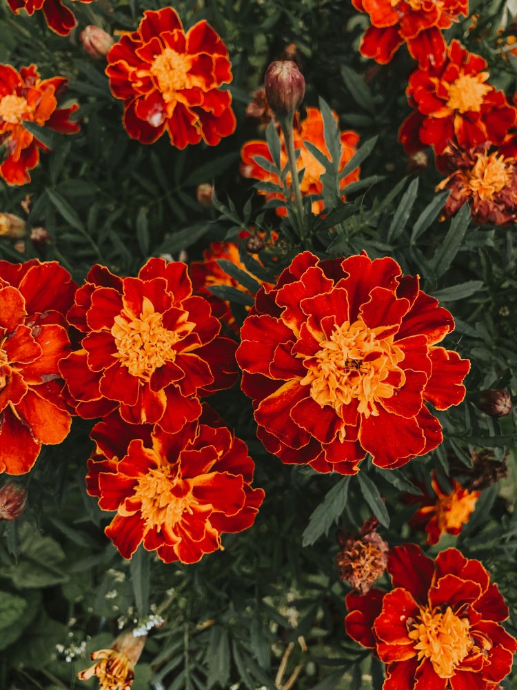 Photograph by Екатерина Кайнова