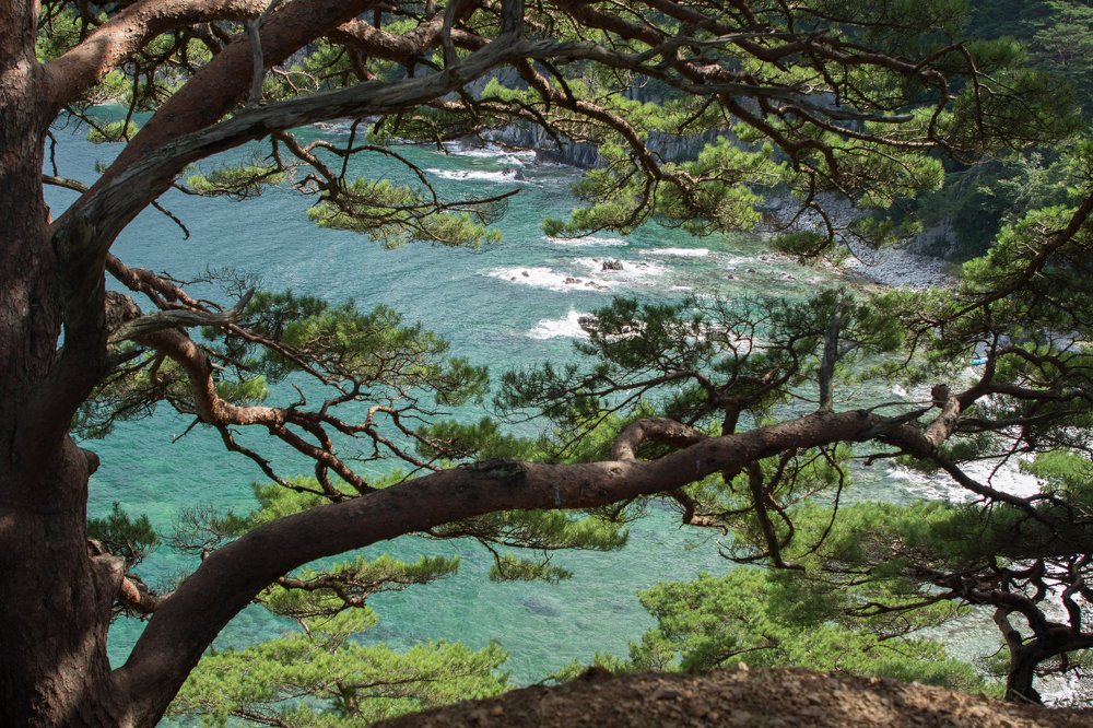 Photograph by Елена Кондратьева