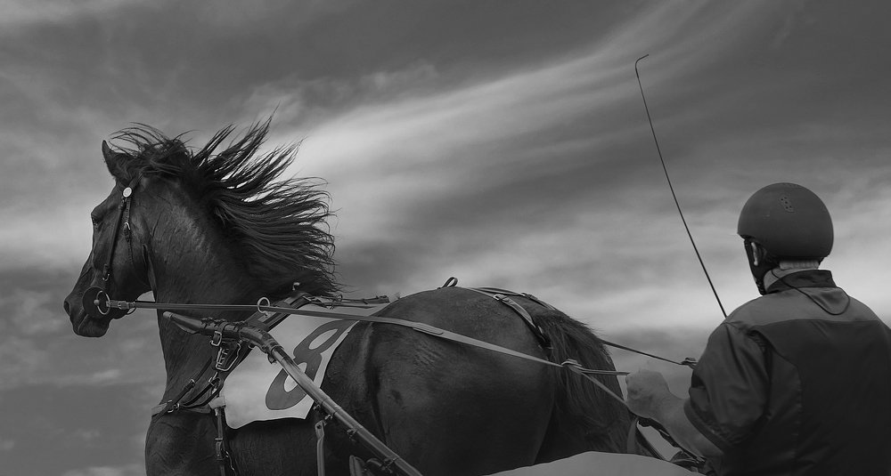 Photograph by Tanya Veresk