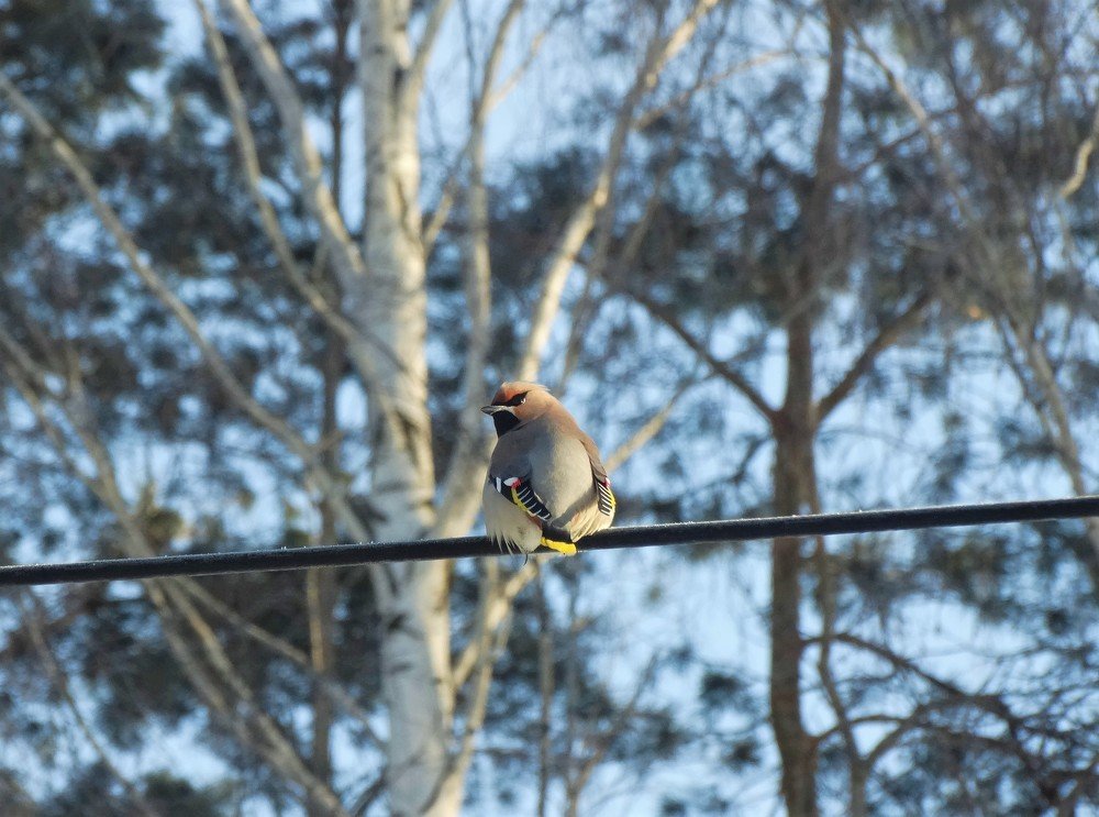 Photograph by Елена Стрельцова