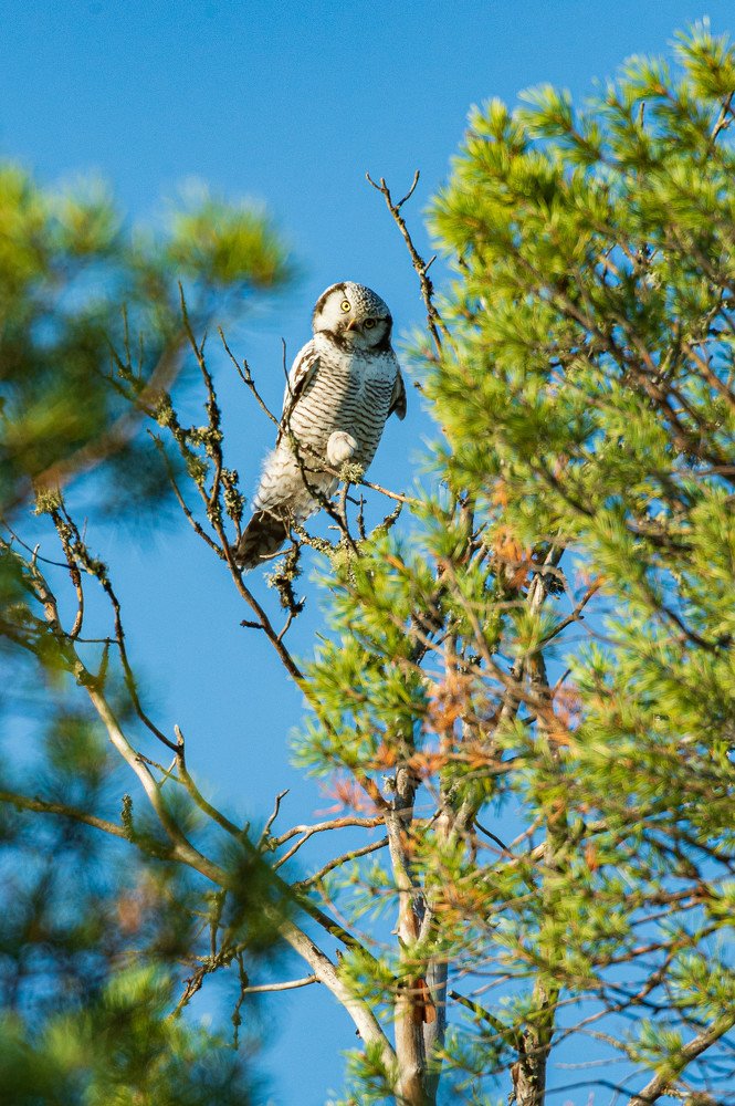 Photograph by Danil Husainov