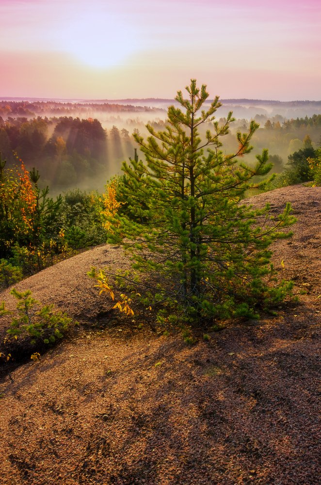 Свежее утро